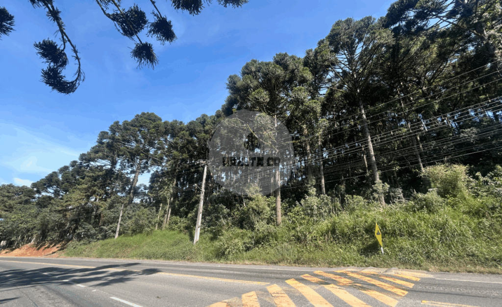 Bateias Site 1