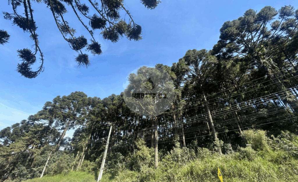 Bateias Site 2
